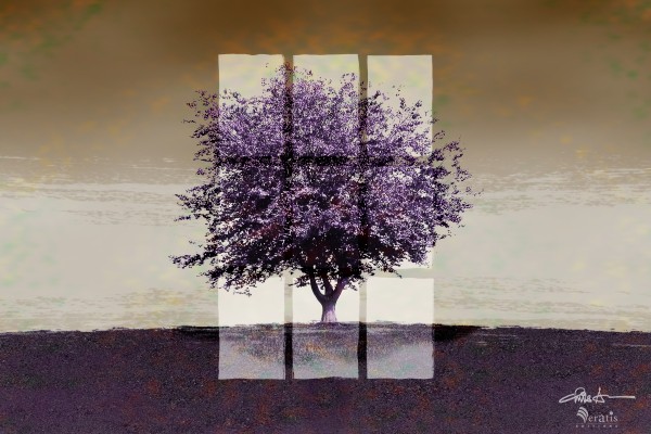 Window on a Purple Tree 3x2 by Veratis Editions